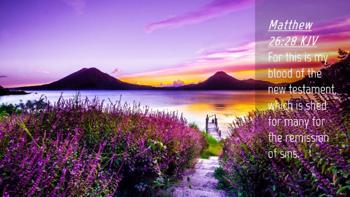 Picture 04 - Matthew 26:28 KJV Desktop Wallpaper - For this is my blood of the new testament, which - Desktop Bible Verse Wallpaper