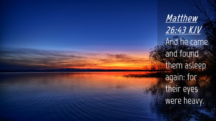 Picture 04 - Matthew 26:43 KJV Desktop Wallpaper - And he came and found them asleep again: for - Desktop Bible Verse Wallpaper