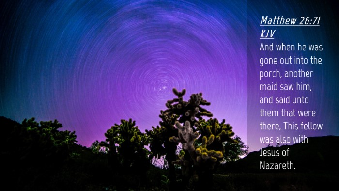 Picture 04 - Matthew 26:71 KJV Desktop Wallpaper - And when he was gone out into the porch, another - Desktop Bible Verse Wallpaper