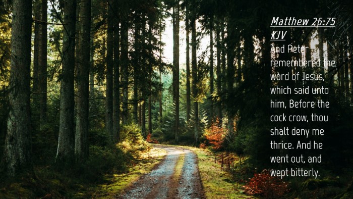 Picture 04 - Matthew 26:75 KJV Desktop Wallpaper - And Peter remembered the word of Jesus, which - Desktop Bible Verse Wallpaper