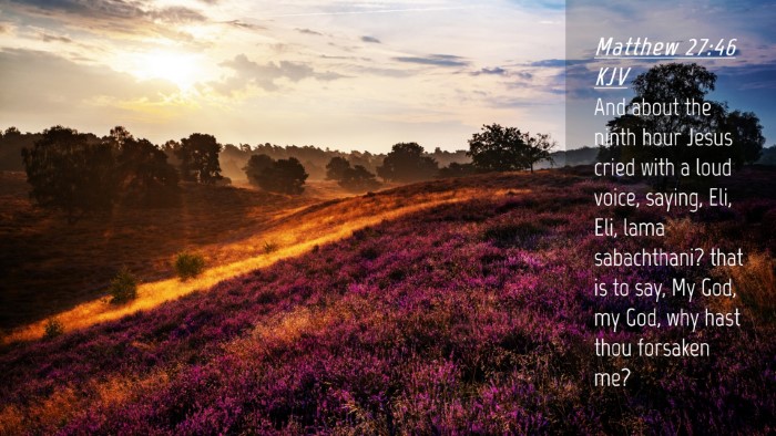Picture 04 - Matthew 27:46 KJV Desktop Wallpaper - And about the ninth hour Jesus cried with a loud - Desktop Bible Verse Wallpaper