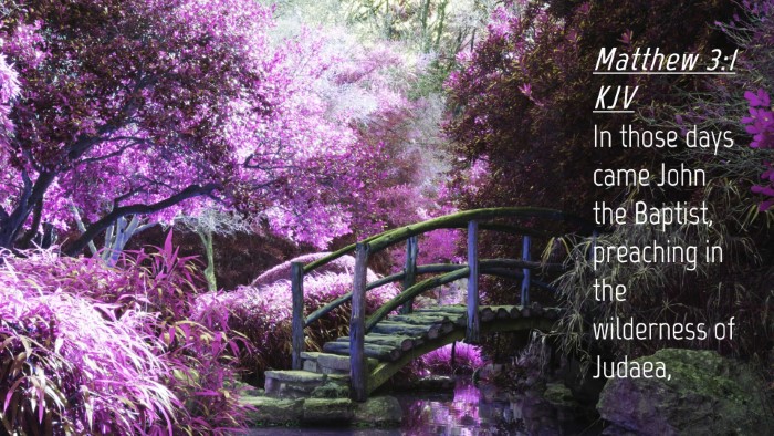 Picture 04 - Matthew 3:1 KJV Desktop Wallpaper - In those days came John the Baptist, preaching in - Desktop Bible Verse Wallpaper