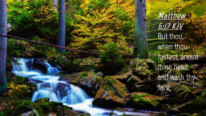 Picture 04 - Matthew 6:17 KJV Desktop Wallpaper - But thou, when thou fastest, anoint thine head, - Desktop Bible Verse Wallpaper