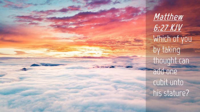 Picture 04 - Matthew 6:27 KJV Desktop Wallpaper - Which of you by taking thought can add one cubit - Desktop Bible Verse Wallpaper