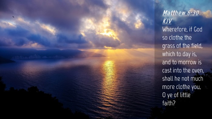 Picture 04 - Matthew 6:30 KJV Desktop Wallpaper - Wherefore, if God so clothe the grass of the - Desktop Bible Verse Wallpaper