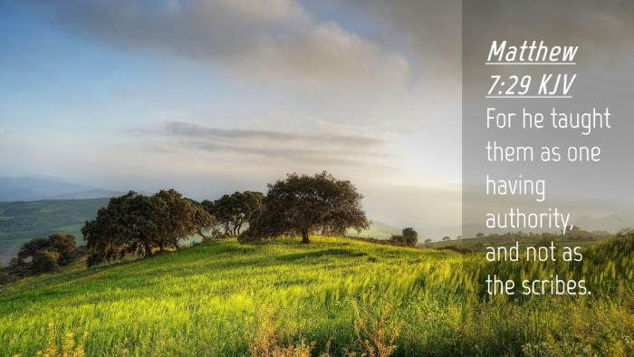 Picture 04 - Matthew 7:29 KJV Desktop Wallpaper - For he taught them as one having authority, and - Desktop Bible Verse Wallpaper