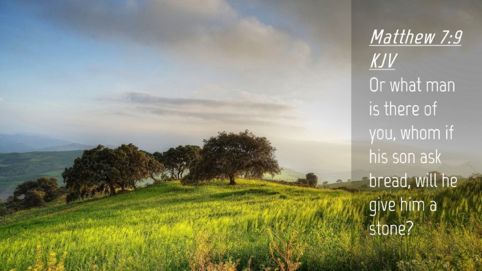 Picture 04 - Matthew 7:9 KJV Desktop Wallpaper - Or what man is there of you, whom if his son ask - Desktop Bible Verse Wallpaper