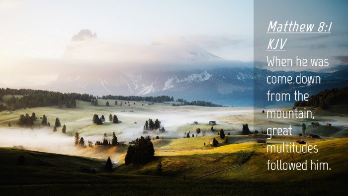 Picture 04 - Matthew 8:1 KJV Desktop Wallpaper - When he was come down from the mountain, great - Desktop Bible Verse Wallpaper