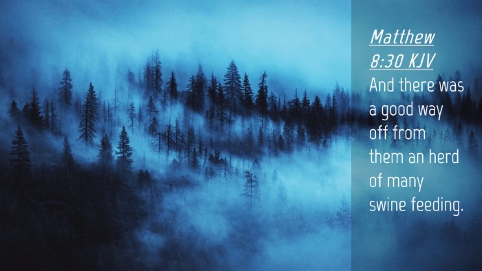 Picture 04 - Matthew 8:30 KJV Desktop Wallpaper - And there was a good way off from them an herd of - Desktop Bible Verse Wallpaper