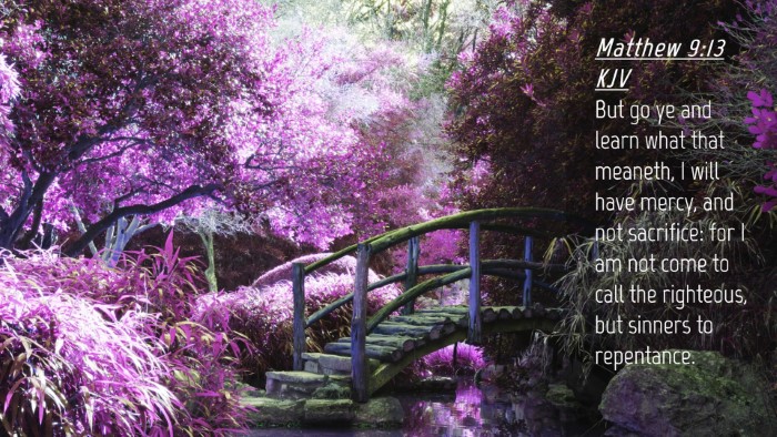 Picture 04 - Matthew 9:13 KJV Desktop Wallpaper - But go ye and learn what that meaneth, I will - Desktop Bible Verse Wallpaper