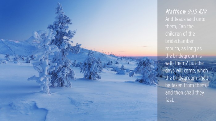 Picture 04 - Matthew 9:15 KJV Desktop Wallpaper - And Jesus said unto them, Can the children of the - Desktop Bible Verse Wallpaper