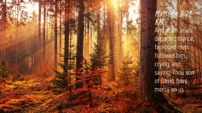 Picture 04 - Matthew 9:27 KJV Desktop Wallpaper - And when Jesus departed thence, two blind men - Desktop Bible Verse Wallpaper