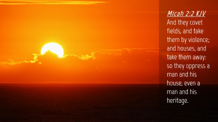 Picture 04 - Micah 2:2 KJV Desktop Wallpaper - And they covet fields, and take them by violence; - Desktop Bible Verse Wallpaper