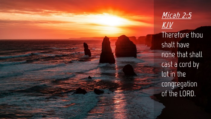 Picture 04 - Micah 2:5 KJV Desktop Wallpaper - Therefore thou shalt have none that shall cast a - Desktop Bible Verse Wallpaper