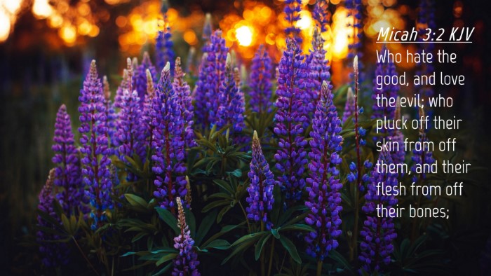Picture 04 - Micah 3:2 KJV Desktop Wallpaper - Who hate the good, and love the evil; who pluck - Desktop Bible Verse Wallpaper