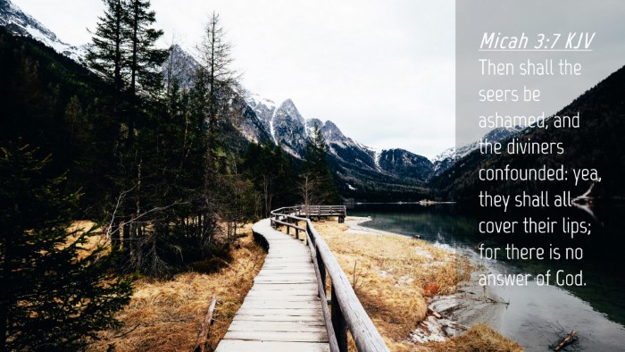 Picture 04 - Micah 3:7 KJV Desktop Wallpaper - Then shall the seers be ashamed, and the diviners - Desktop Bible Verse Wallpaper