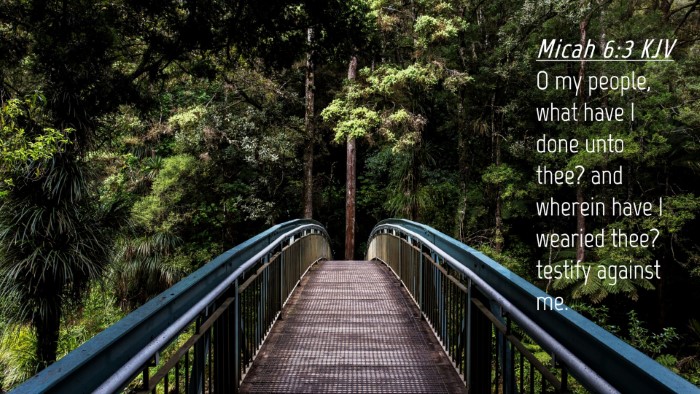 Picture 04 - Micah 6:3 KJV Desktop Wallpaper - O my people, what have I done unto thee? and - Desktop Bible Verse Wallpaper