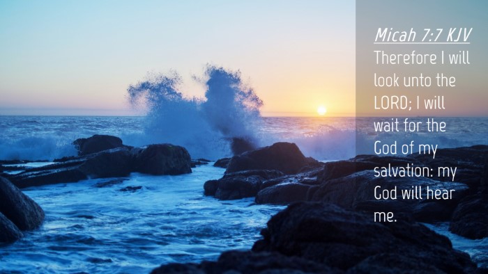 Picture 04 - Micah 7:7 KJV Desktop Wallpaper - Therefore I will look unto the LORD; I will wait - Desktop Bible Verse Wallpaper