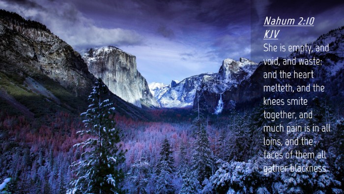 Picture 04 - Nahum 2:10 KJV Desktop Wallpaper - She is empty, and void, and waste: and the heart - Desktop Bible Verse Wallpaper