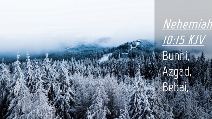 Picture 04 - Nehemiah 10:15 KJV Desktop Wallpaper - Bunni, Azgad, - Desktop Bible Verse Wallpaper