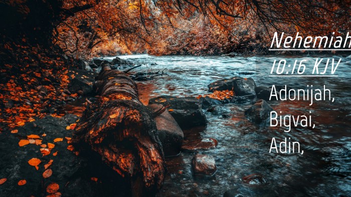 Picture 04 - Nehemiah 10:16 KJV Desktop Wallpaper - Adonijah, Bigvai, - Desktop Bible Verse Wallpaper