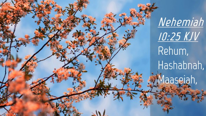 Picture 04 - Nehemiah 10:25 KJV Desktop Wallpaper - Rehum, Hashabnah, - Desktop Bible Verse Wallpaper