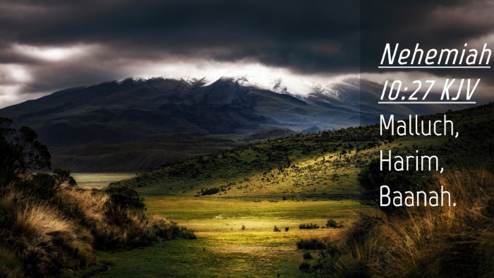 Picture 04 - Nehemiah 10:27 KJV Desktop Wallpaper - Malluch, Harim, - Desktop Bible Verse Wallpaper