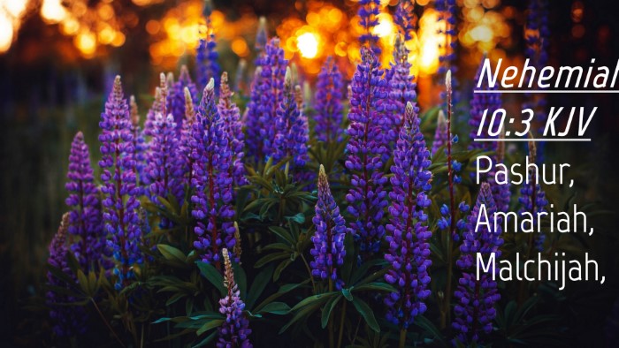 Picture 04 - Nehemiah 10:3 KJV Desktop Wallpaper - Pashur, Amariah, - Desktop Bible Verse Wallpaper