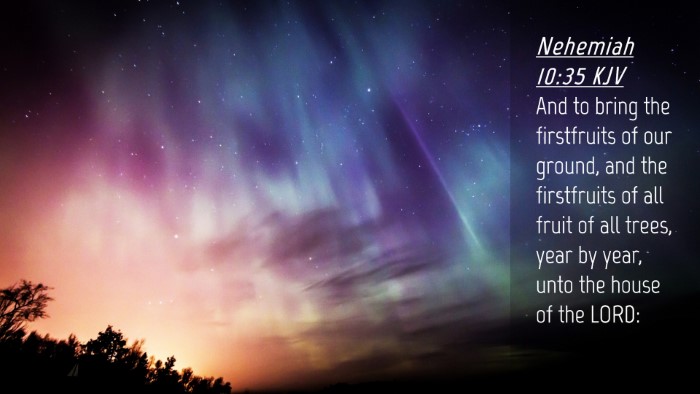 Picture 04 - Nehemiah 10:35 KJV Desktop Wallpaper - And to bring the firstfruits of our ground, and - Desktop Bible Verse Wallpaper