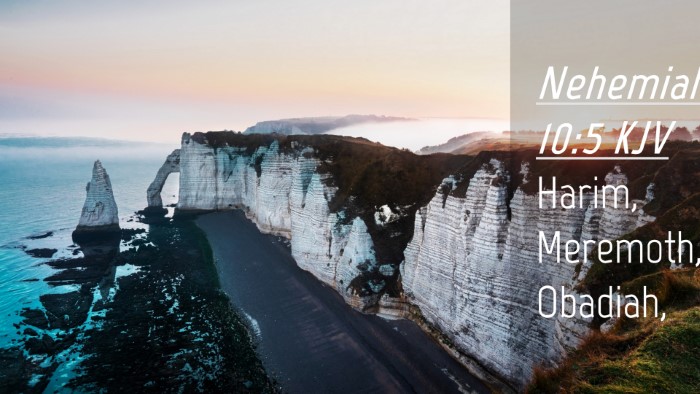 Picture 04 - Nehemiah 10:5 KJV Desktop Wallpaper - Harim, Meremoth, - Desktop Bible Verse Wallpaper