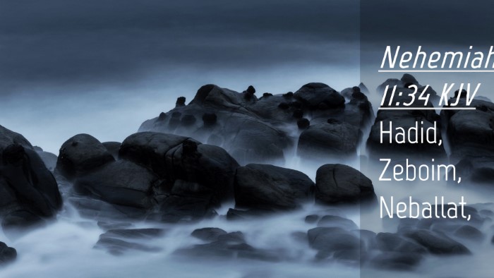 Picture 04 - Nehemiah 11:34 KJV Desktop Wallpaper - Hadid, Zeboim, - Desktop Bible Verse Wallpaper
