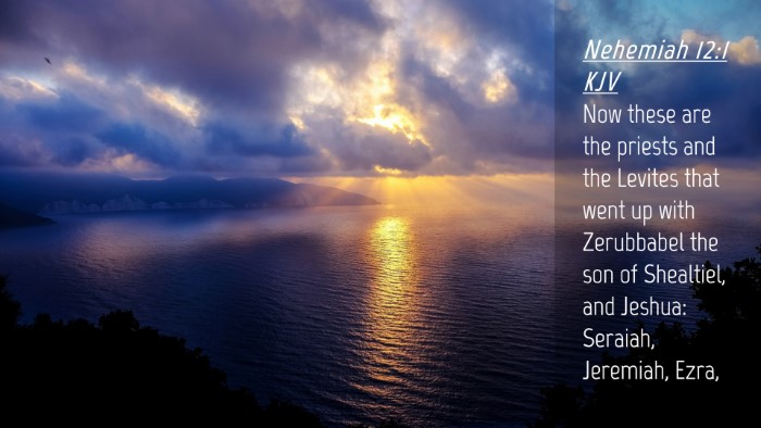 Picture 04 - Nehemiah 12:1 KJV Desktop Wallpaper - Now these are the priests and the Levites that - Desktop Bible Verse Wallpaper