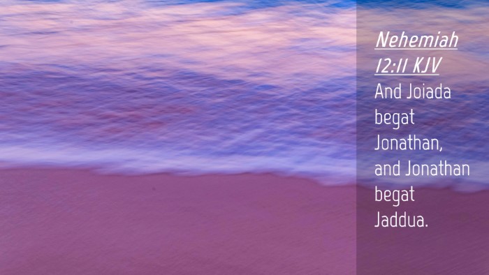 Picture 04 - Nehemiah 12:11 KJV Desktop Wallpaper - And Joiada begat Jonathan, and Jonathan begat - Desktop Bible Verse Wallpaper