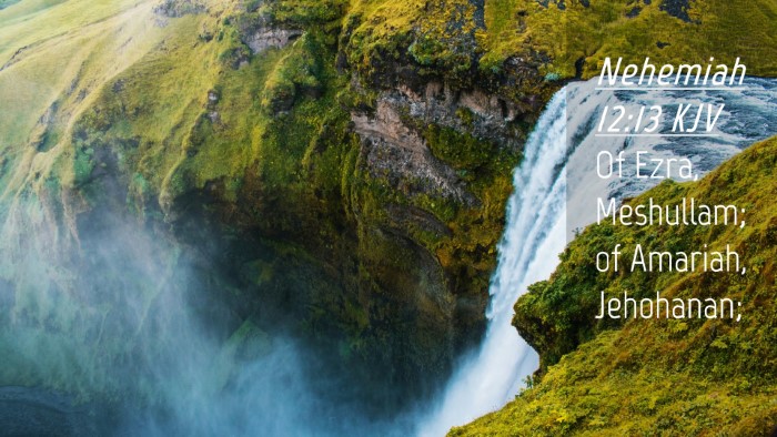 Picture 04 - Nehemiah 12:13 KJV Desktop Wallpaper - Of Ezra, Meshullam; of Amariah, - Desktop Bible Verse Wallpaper