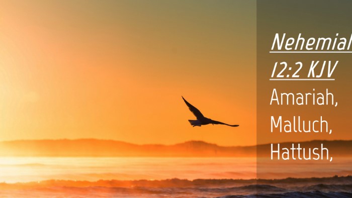 Picture 04 - Nehemiah 12:2 KJV Desktop Wallpaper - Amariah, Malluch, - Desktop Bible Verse Wallpaper