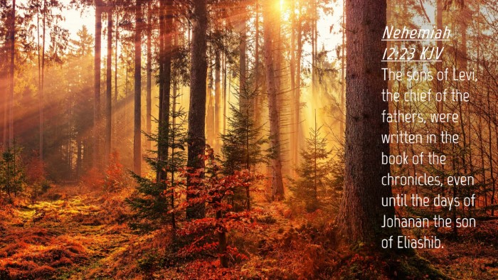 Picture 04 - Nehemiah 12:23 KJV Desktop Wallpaper - The sons of Levi, the chief of the fathers, were - Desktop Bible Verse Wallpaper