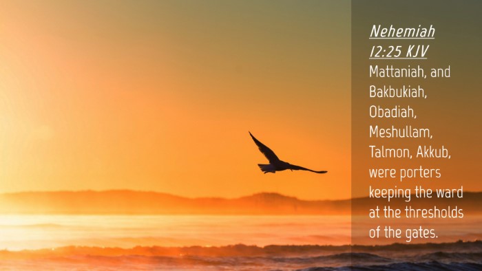 Picture 04 - Nehemiah 12:25 KJV Desktop Wallpaper - Mattaniah, and Bakbukiah, Obadiah, Meshullam, - Desktop Bible Verse Wallpaper