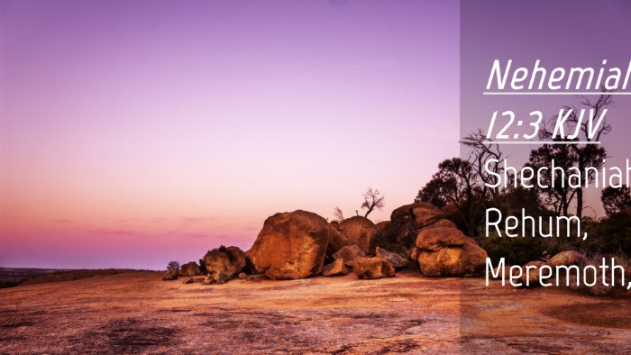 Picture 04 - Nehemiah 12:3 KJV Desktop Wallpaper - Shechaniah, Rehum, - Desktop Bible Verse Wallpaper