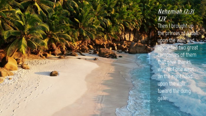 Picture 04 - Nehemiah 12:31 KJV Desktop Wallpaper - Then I brought up the princes of Judah upon the - Desktop Bible Verse Wallpaper