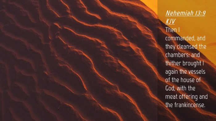 Picture 04 - Nehemiah 13:9 KJV Desktop Wallpaper - Then I commanded, and they cleansed the chambers: - Desktop Bible Verse Wallpaper