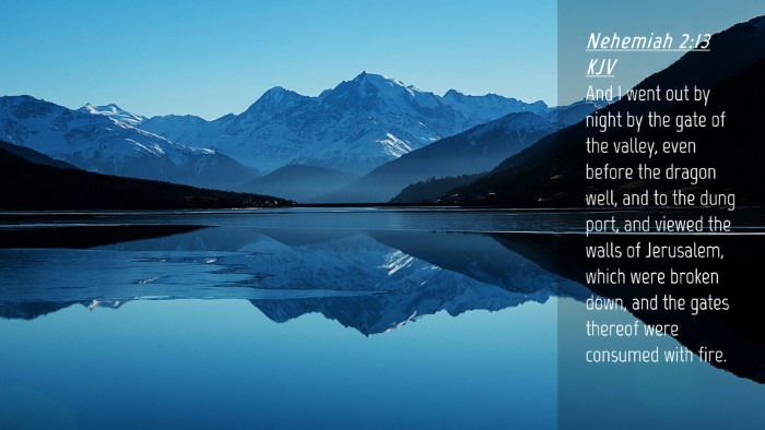 Picture 04 - Nehemiah 2:13 KJV Desktop Wallpaper - And I went out by night by the gate of the - Desktop Bible Verse Wallpaper