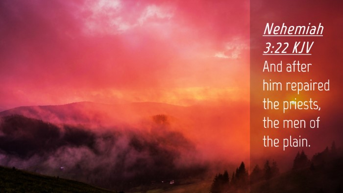 Picture 04 - Nehemiah 3:22 KJV Desktop Wallpaper - And after him repaired the priests, the men of - Desktop Bible Verse Wallpaper