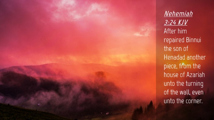 Picture 04 - Nehemiah 3:24 KJV Desktop Wallpaper - After him repaired Binnui the son of Henadad - Desktop Bible Verse Wallpaper
