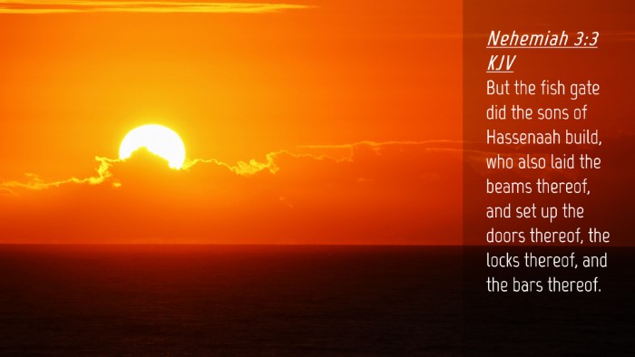 Picture 04 - Nehemiah 3:3 KJV Desktop Wallpaper - But the fish gate did the sons of Hassenaah - Desktop Bible Verse Wallpaper