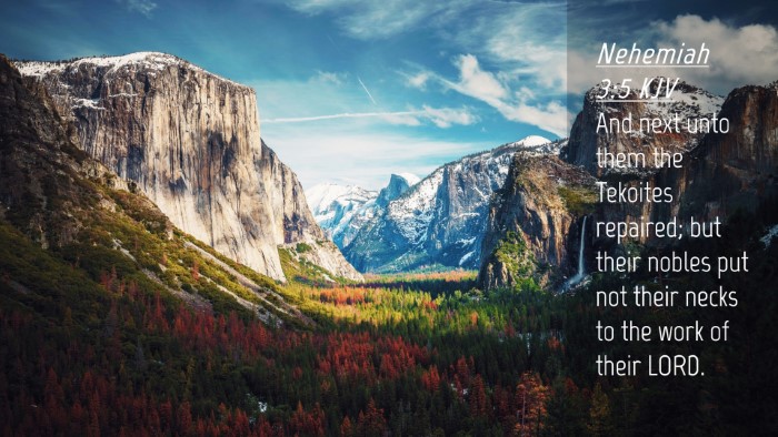 Picture 04 - Nehemiah 3:5 KJV Desktop Wallpaper - And next unto them the Tekoites repaired; but - Desktop Bible Verse Wallpaper