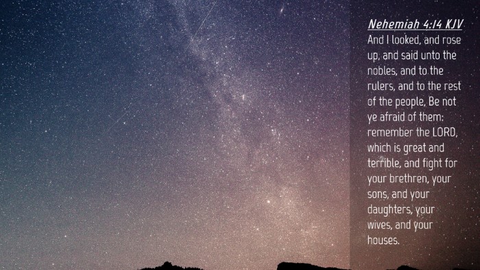 Picture 04 - Nehemiah 4:14 KJV Desktop Wallpaper - And I looked, and rose up, and said unto the - Desktop Bible Verse Wallpaper