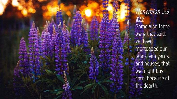 Picture 04 - Nehemiah 5:3 KJV Desktop Wallpaper - Some also there were that said, We have mortgaged - Desktop Bible Verse Wallpaper