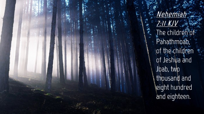 Picture 04 - Nehemiah 7:11 KJV Desktop Wallpaper - The children of Pahathmoab, of the children of - Desktop Bible Verse Wallpaper