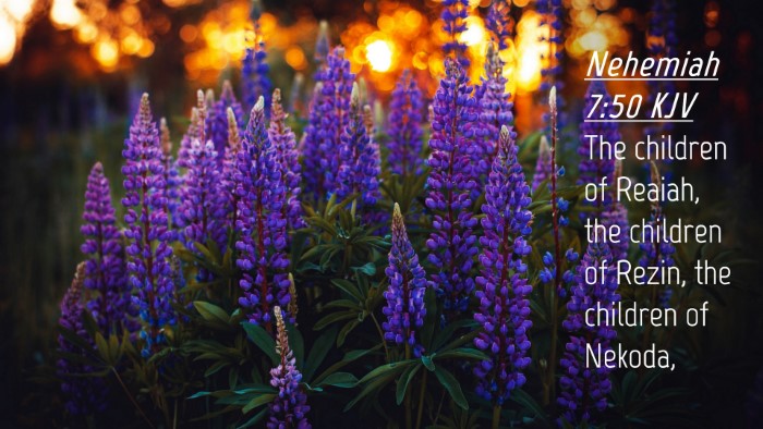 Picture 04 - Nehemiah 7:50 KJV Desktop Wallpaper - The children of Reaiah, the children of Rezin, - Desktop Bible Verse Wallpaper