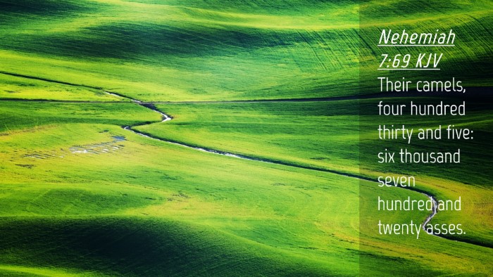 Picture 04 - Nehemiah 7:69 KJV Desktop Wallpaper - Their camels, four hundred thirty and five: six - Desktop Bible Verse Wallpaper